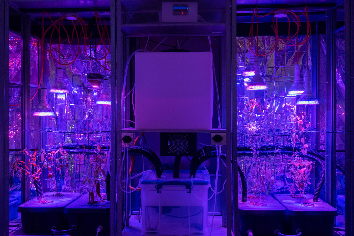 Superflux, Mitigation of Shock, 2019, © Superflux