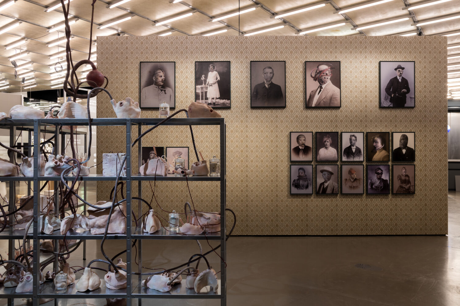 Arnold Reinisch, Shelf Condition, 2021 und Cabinet Morphosis, 2021, Ausstellungsansicht, Foto: Kunsthaus Graz/M. Grabner
