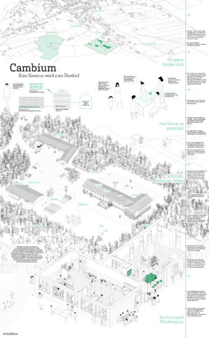 Cambium